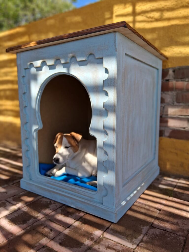 PHOTO-2025-11-20-09-51-02