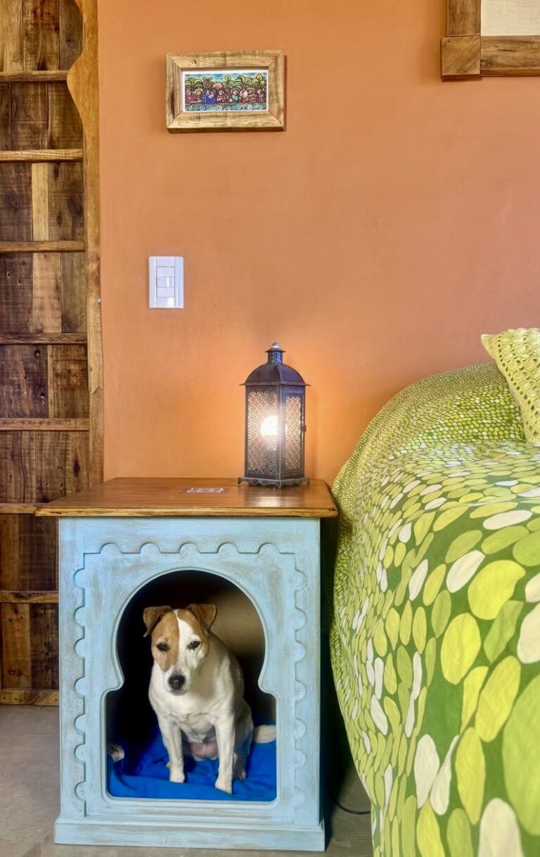 de97d80a-8657-428f-a819-b3c7aa31cc68